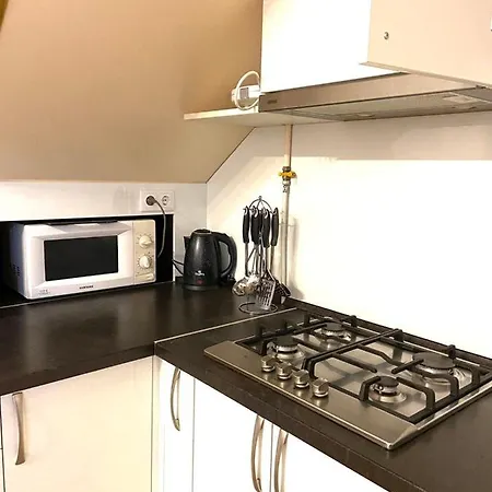 Apartment Двухэтажная Квартира В Центре Одессы Odessa