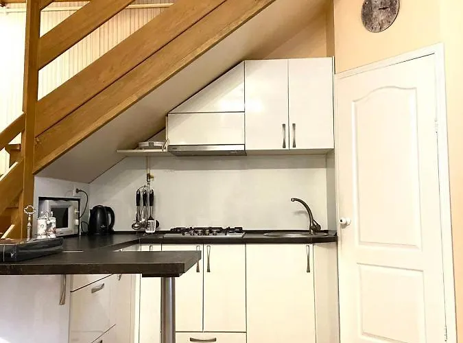 Двухэтажная Квартира В Центре Одессы Apartment